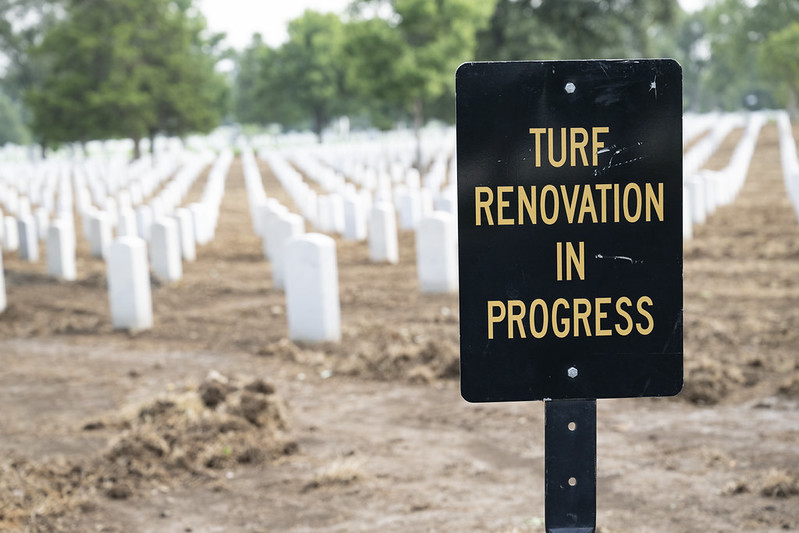 turf restoration 2