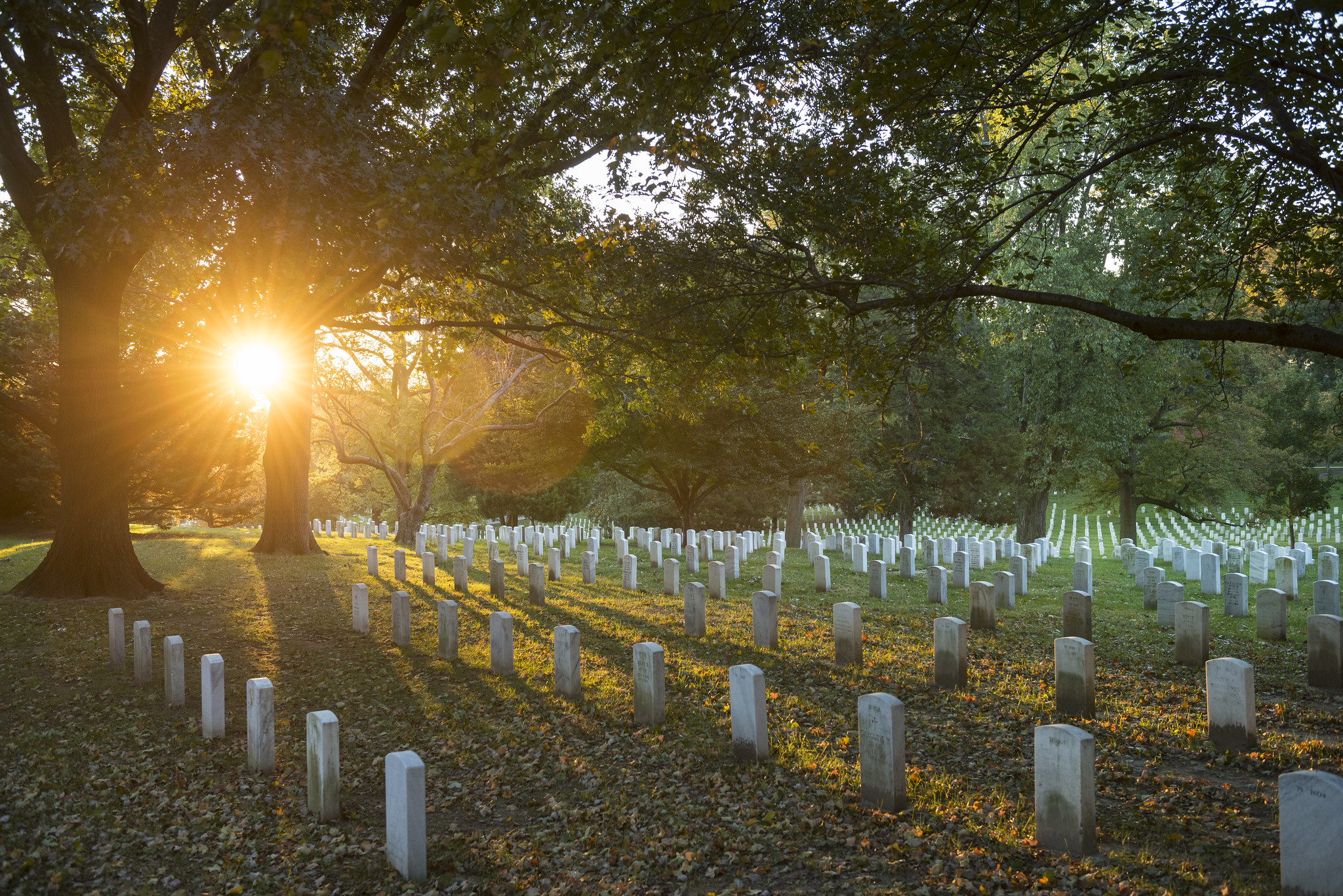 Sunrise over gravesites at Arlington National Cemetery