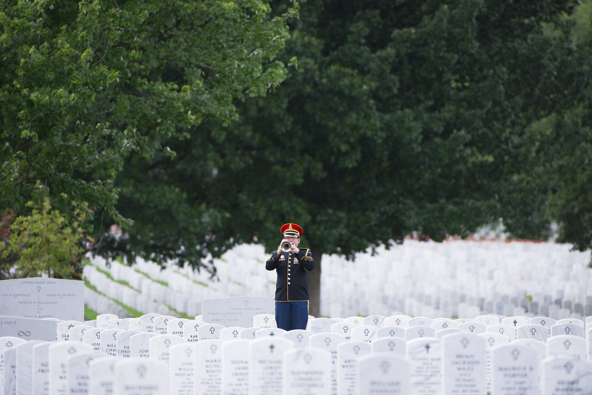 A uniformed bugler sounds Taps at a military funeral at Arlington National Cemetery